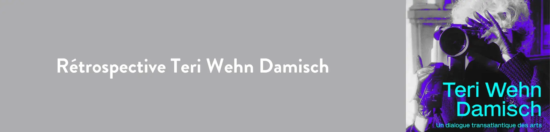 Bannière Rétrospective Teri Wehn Damisch