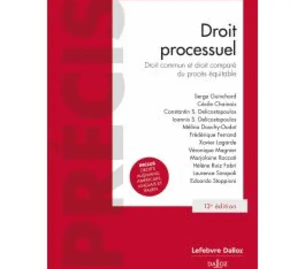 Droit processuel - Droit commun et droit comparé du procès équitable